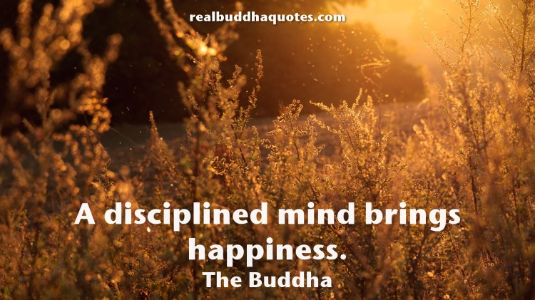 A-disciplined-mind-brings-happiness